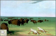 Painting of Buffalo