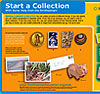 Start a Collection Activity Sheet
