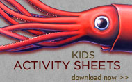 Free Kids Activity Sheets