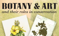 Botany and Art and Their Roles in Conservation