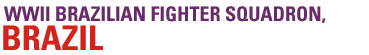 fighter.gif (4167 bytes)