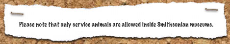 Please note that only service animals are allowed inside Smithsonian museums.