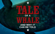 Tale of a Whale