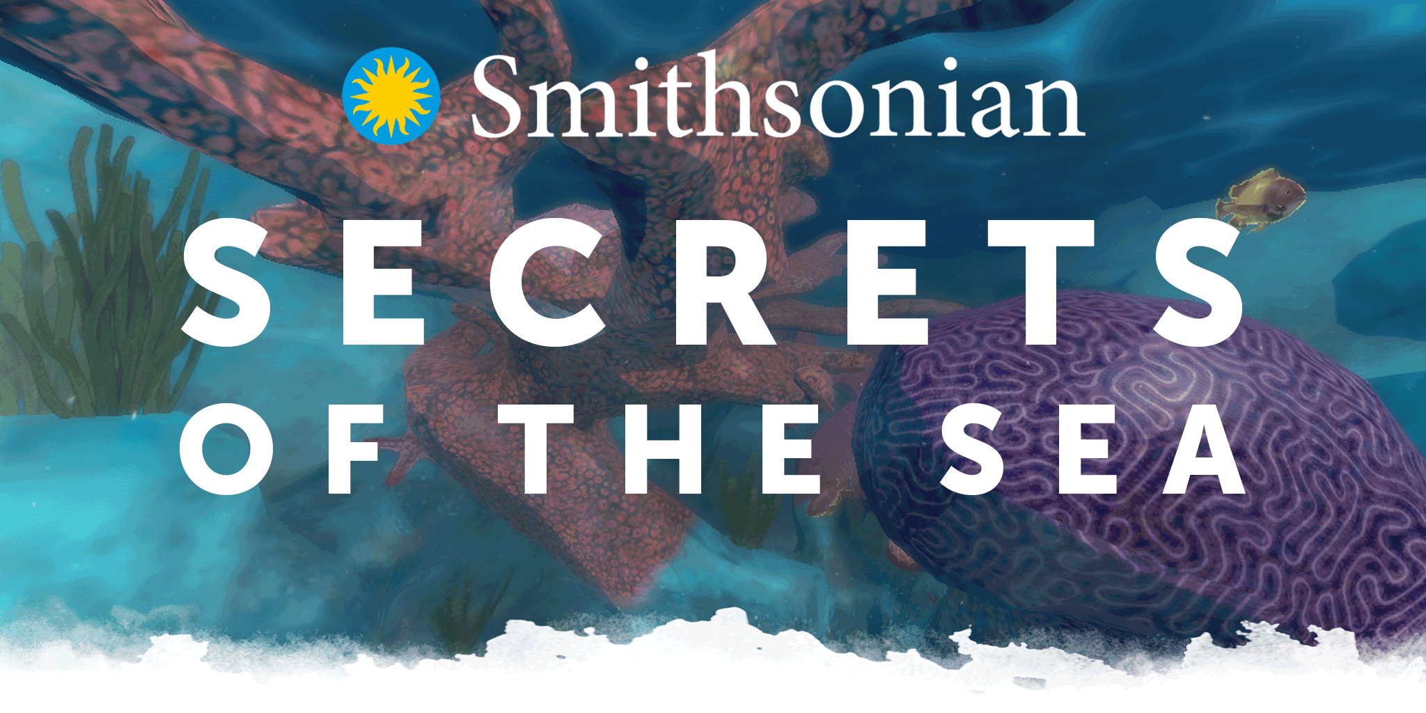 Smithsonian Secrets of the Sea