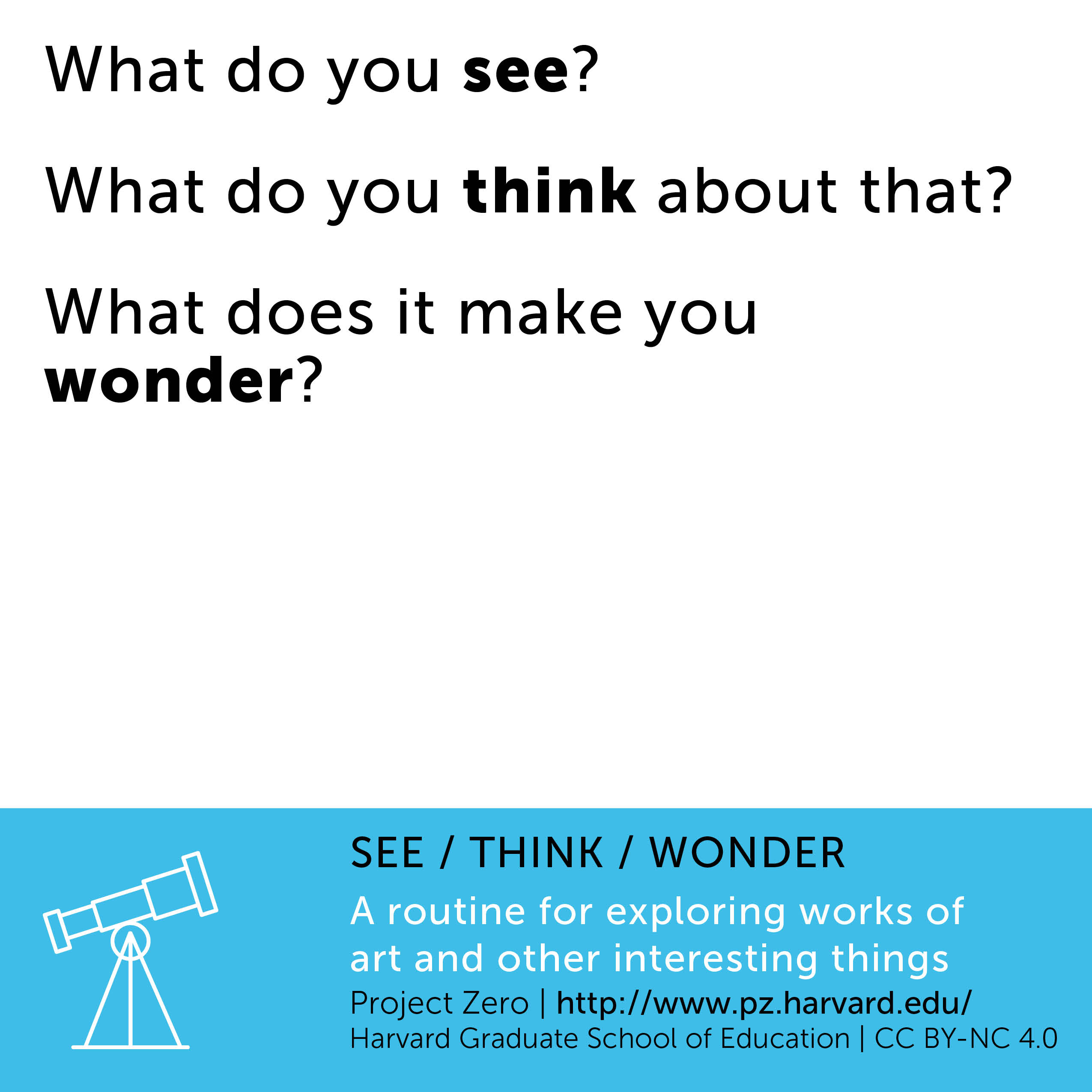 What Is A See Think Wonder